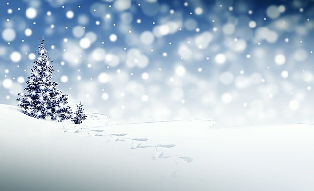 Tage bis Weihnachten
